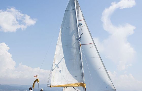 Sailboat DUFOUR 31 9.5m