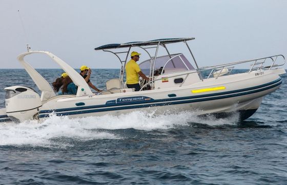 RIB CAPELLI TEMPEST 900 WA 225hp