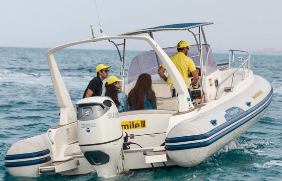 RIB CAPELLI TEMPEST 900 WA 225hp