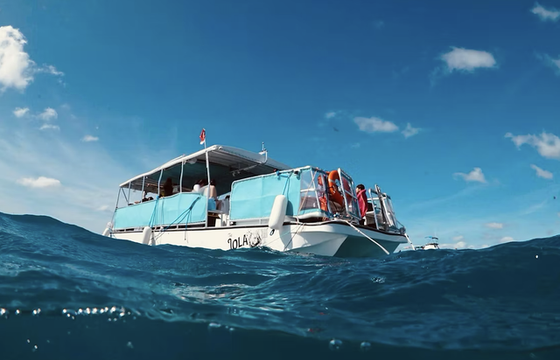 Honolulu Snorkel Company – The Lola