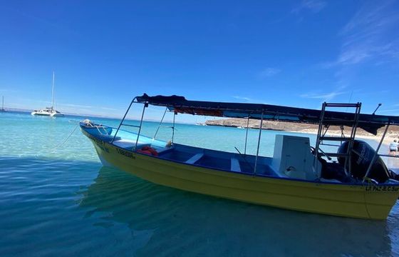 Baja Discovery Tours