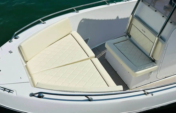 Safira Tour e Charters