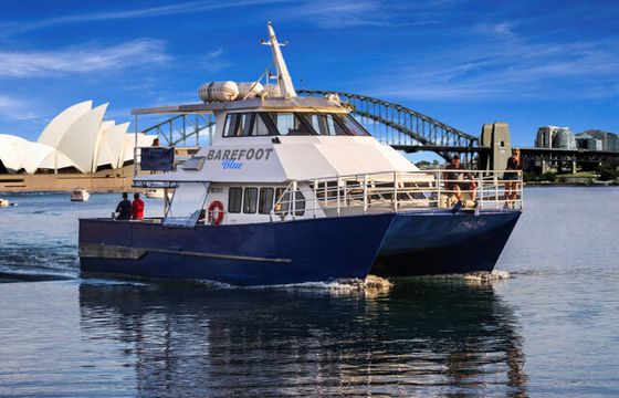 Barefoot Charters – Whale Watching