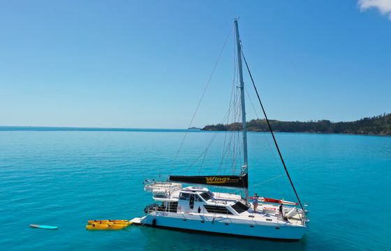 Wings Sailing Charters Whitsunday
