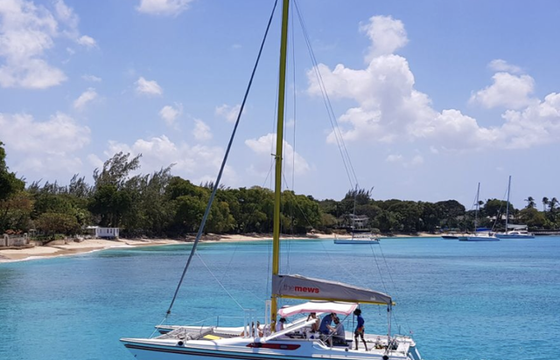 Shasa Catamaran Cruises
