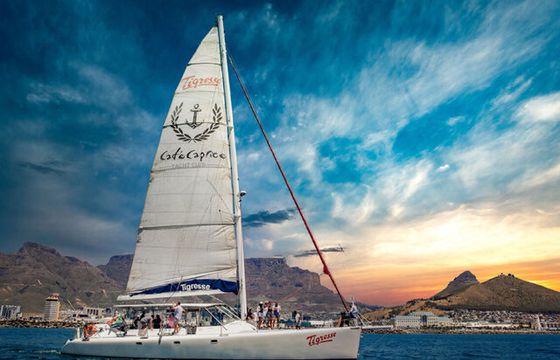 Yacoob Yachts – Catamaran Tigresse