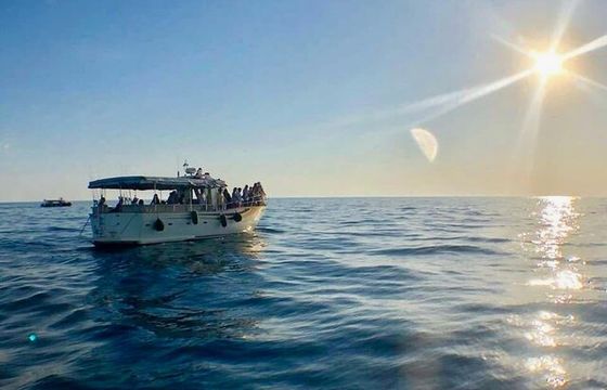 Sampei Premium Boat Tours