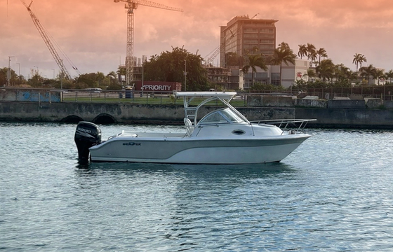 Castaway Charters Puerto Rico