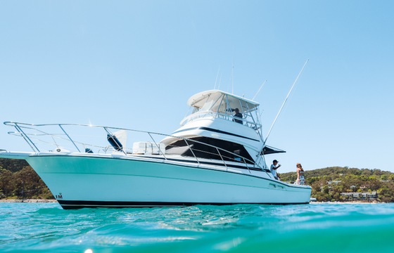 Medusa Charters