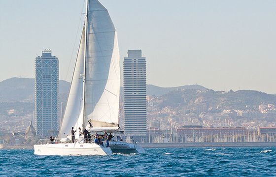 Blue Magic Cat – Premium 42ft