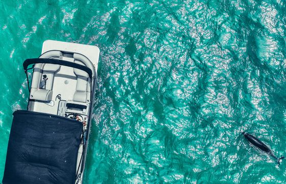Clearwater Beach Private Pontoon Boat Tours