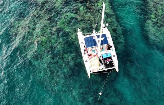 Honest Eco – Sailing Catamaran Blu Q