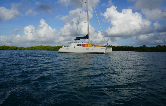 SAND STAR