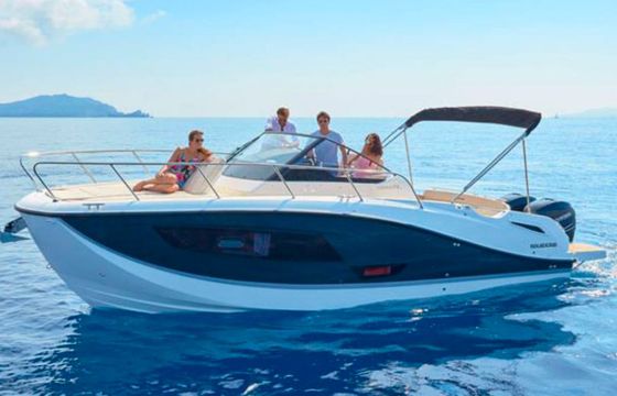 Quicksilver 875
