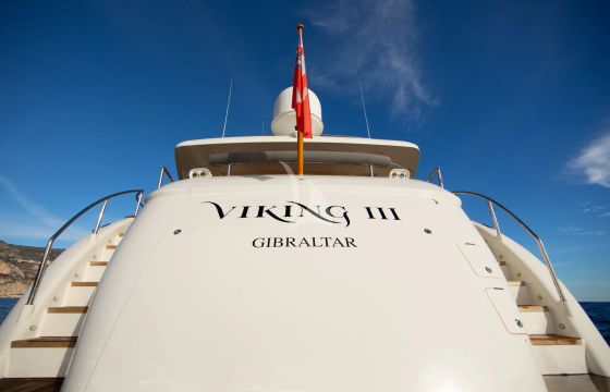 VIKING III
