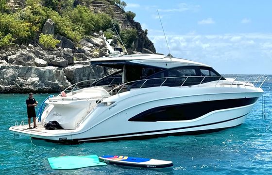PRINCESS V55