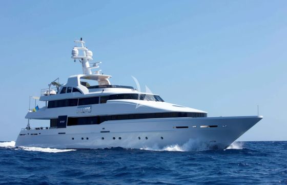 LIFE SAGA