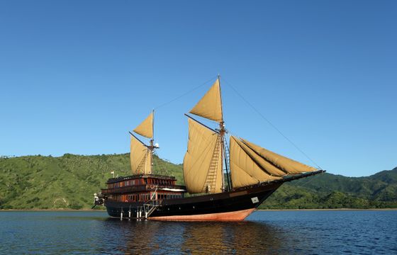 ALILA PURNAMA