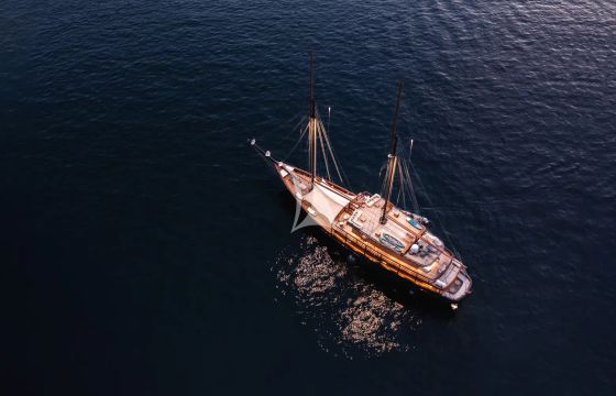 VELA