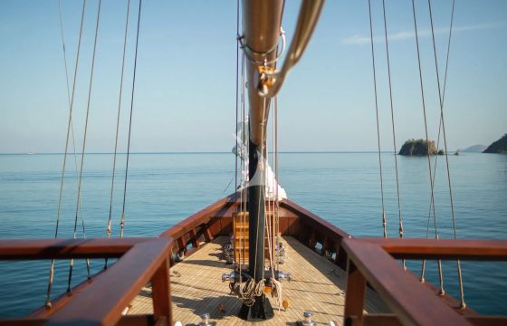 VELA