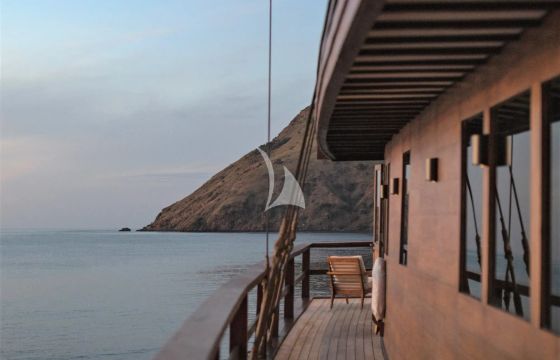 VELA