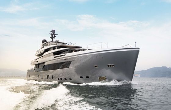 PANDION PEARL