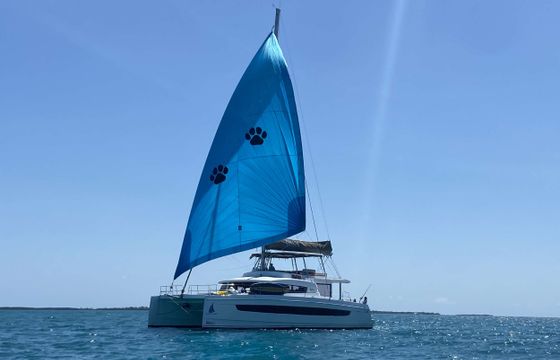 NAUTI DOGS 5.4
