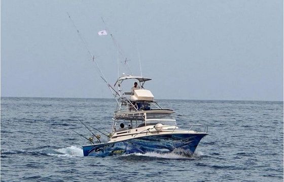 Freed’em - Big fishing
