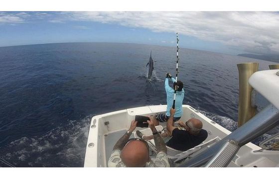 Freed’em - Big fishing