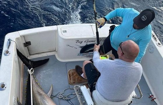 Freed’em - Big fishing
