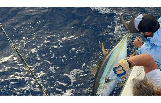 Freed’em - Big fishing