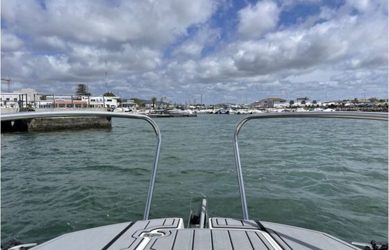 Malavita | Ria Formosa (Algarve)