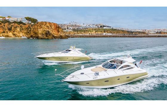 INFINITY SUNSEEKER PORTOFINO 53