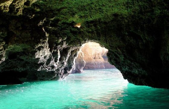 Flor do Mar
