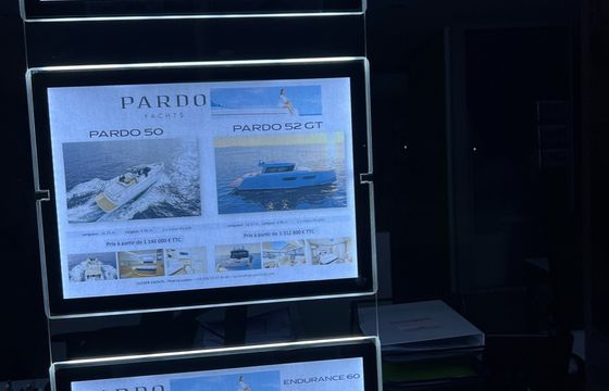 Pardo 50