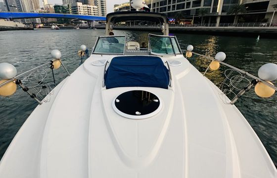 Luxury 38 FT Cruiser