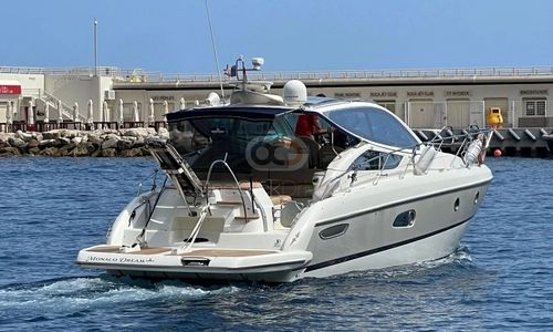 Cranchi 43