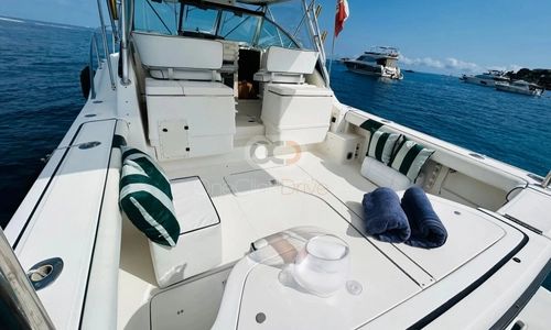 Poursuit 3400 Express