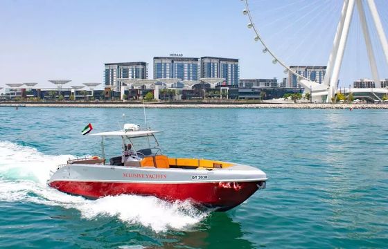 Luxury Sports Boat