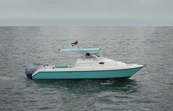 Conwy 34ft