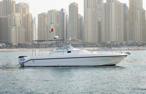 Conwy 36ft