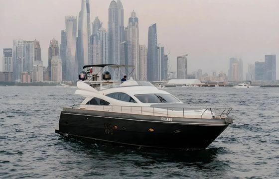 Princess 70ft - Grey Shark
