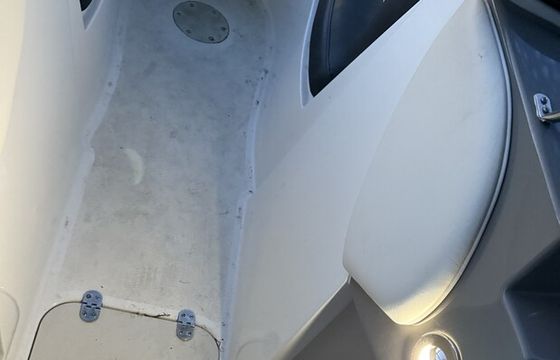 2018 stingray