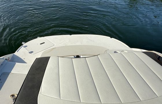2018 stingray