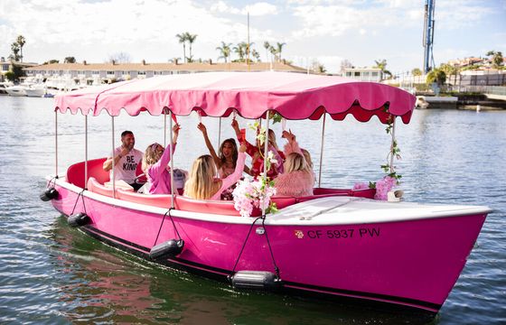 12 Passenger PINK Electric Boat Rental
