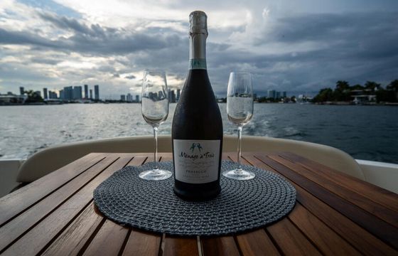 NYC’s BEST 50ft LUXURY MERIDIAN YACHT!!! WITH SEAKEEPER STABILIZER