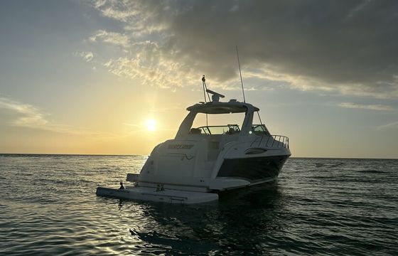 51' Luxury BIG Yacht. Sunset-Dolphin Cruise, Sandbar, Island Parties!