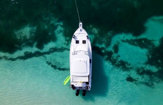 Luxury 35ft Grady White — Culebra & Island Adventures