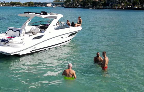 Sea Ray SLX 350