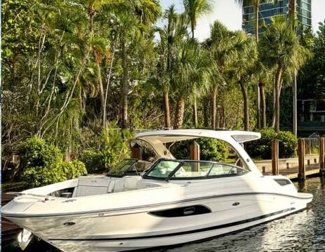 Sea Ray SLX 350